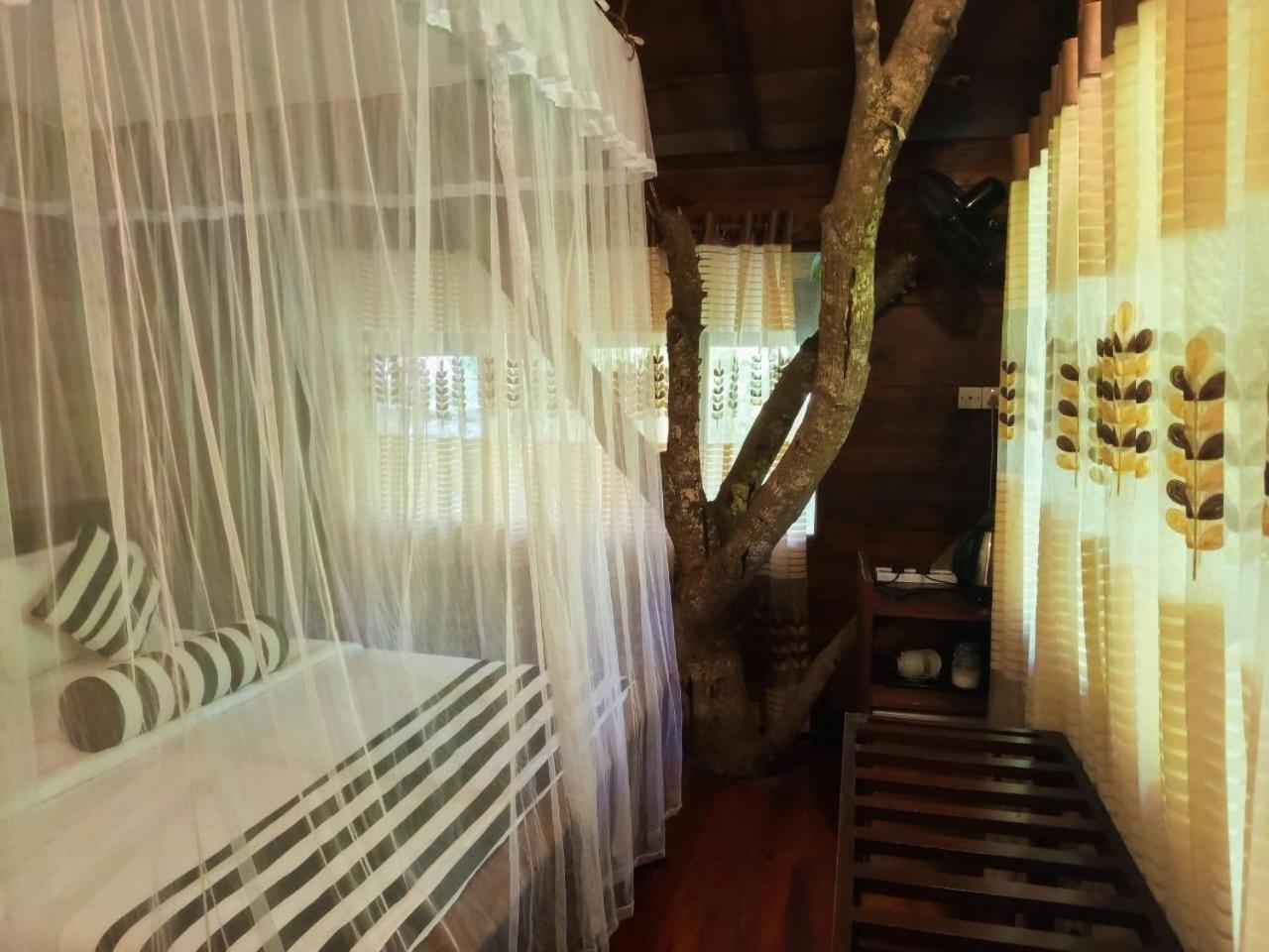 Eco Village エッラ エクステリア 写真